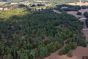 1761 Ironwood Rd, Gilmer, TX 75644 - Photo 46