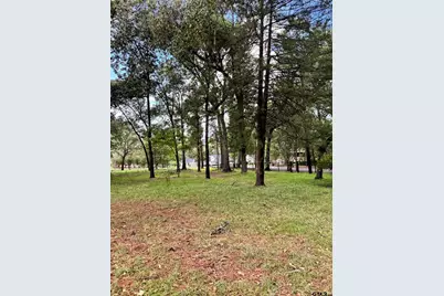 18032 N Lakeview Dr., Troup, TX 75789 - Photo 2
