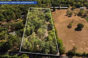 12118 County Rd 313 E, Tyler, TX 75708 - Photo 44