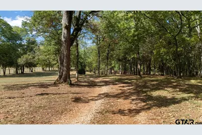 12118 County Road 313 E, Tyler, TX 75708 - Photo 48