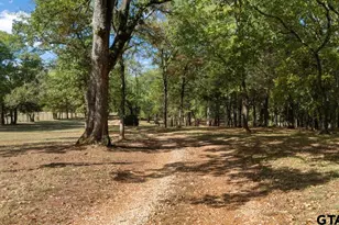 12118 County Rd 313 E, Tyler, TX 75708 - Photo 48