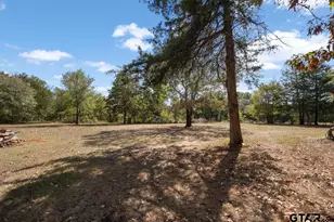 12118 County Rd 313 E, Tyler, TX 75708 - Photo 42