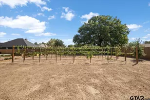 15404 County Rd 1100, Tyler, TX 75703 - Photo 42