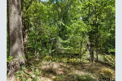 Tbd Anderson Cr 3592, Palestine, TX 75803 - Photo 10