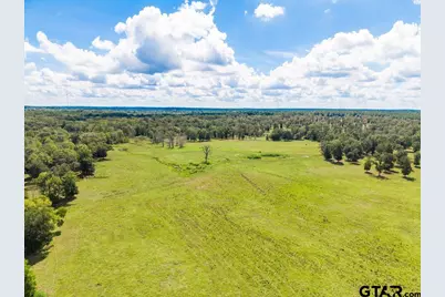 Tbd Anderson Cr 3592, Palestine, TX 75803 - Photo 14