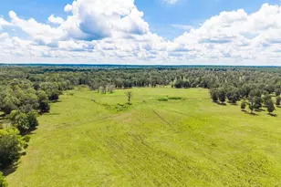 Tbd Anderson Cr 3592, Palestine, TX 75803 - Photo 14