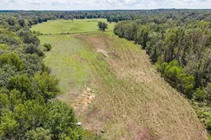 Tbd Anderson Cr 3592, Palestine, TX 75803 - Photo 12
