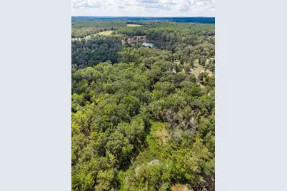 Tbd Anderson Cr 3592, Palestine, TX 75803 - Photo 18