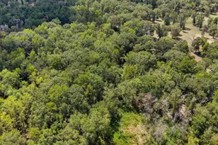 Tbd Anderson Cr 3592, Palestine, TX 75803 - Photo 18