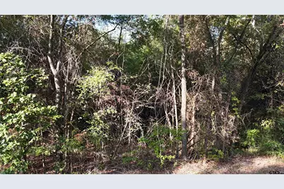 Tbd County Road 3470, Hawkins, TX 75765 - Photo 6