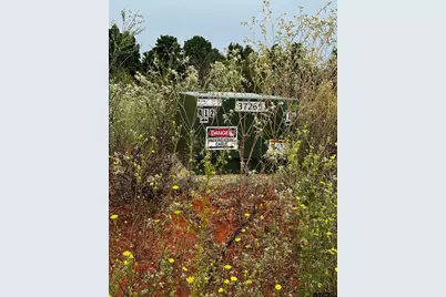 16724 Caeli Heights Court (Lot 13), Winona, TX 75792 - Photo 4