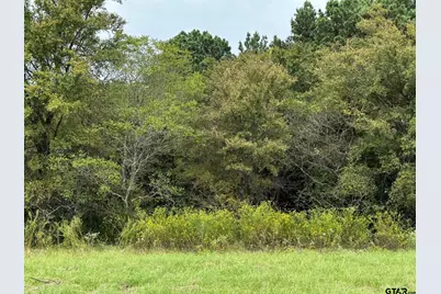 16724 Caeli Heights Court (Lot 13), Winona, TX 75792 - Photo 8