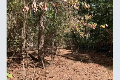 115 Private Road 7533, Hawkins, TX 75765 - Photo 6