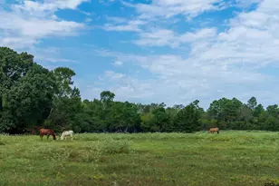 152 N Timberlane Rd, Gladewater, TX 75647 - Photo 8