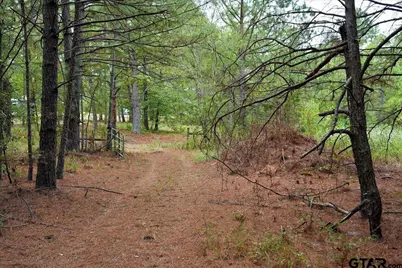448 County Road 3955, Mineola, TX 75773 - Photo 38