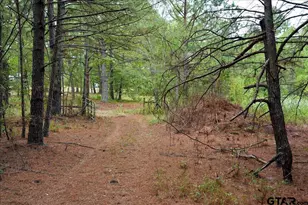 448 Co Rd 3955, Mineola, TX 75773 - Photo 38