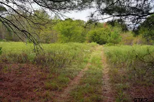 448 Co Rd 3955, Mineola, TX 75773 - Photo 42