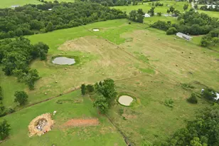 810 W Pine St, Winnsboro, TX 75494 - Photo 34