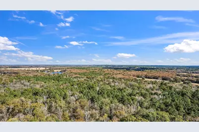 Tbd Cr 3170, Winnsboro, TX 75494 - Photo 12