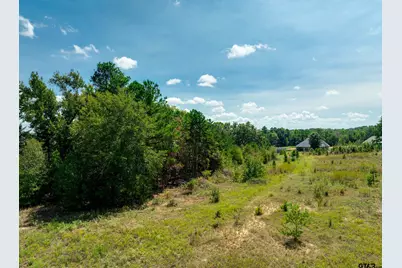 0 C R 463 (5.485 Ac), Lindale, TX 75771 - Photo 12