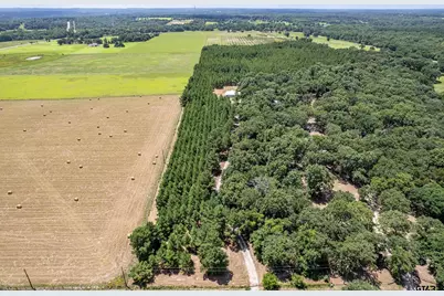 25325 County Road 462, Mineola, TX 75773 - Photo 10
