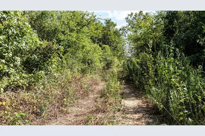 Tbd Fm 726, Gilmer, TX 75645 - Photo 10