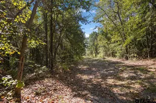 16543 Cr 3147, Tyler, TX 75706 - Photo 38