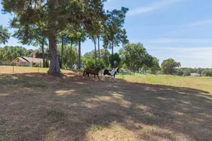 23888 Cr 2110, Troup, TX 75789 - Photo 38