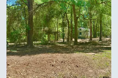 21041 Forest Grove Dr, Chandler, TX 75758 - Photo 4