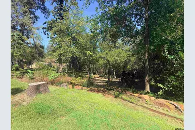 1205 Lake Cross Road, Hideaway, TX 75771 - Photo 10