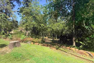 1205 Lake Cross Rd, Hideaway, TX 75771 - Photo 10