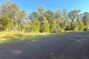 Tbd Tr 6G Cr 4606, Troup, TX 75789 - Photo 1