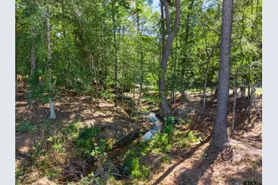 13127 S County Road 246, Arp, TX 75750 - Photo 46