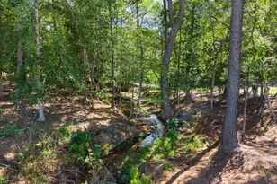 13127 S County Road 246, Arp, TX 75750 - Photo 46