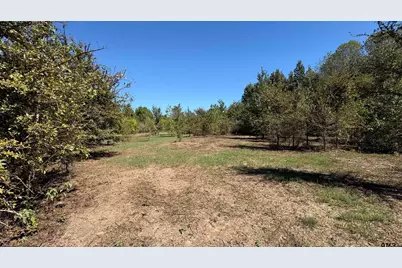 920 County Road 1226, Quitman, TX 75783 - Photo 6