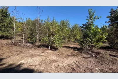 920 County Road 1226, Quitman, TX 75783 - Photo 2
