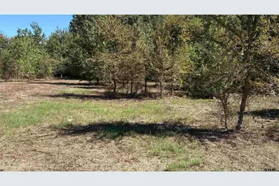 920 County Road 1226, Quitman, TX 75783 - Photo 8