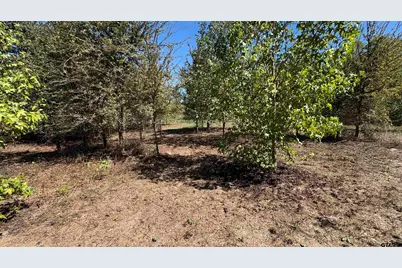 920 County Road 1226, Quitman, TX 75783 - Photo 4