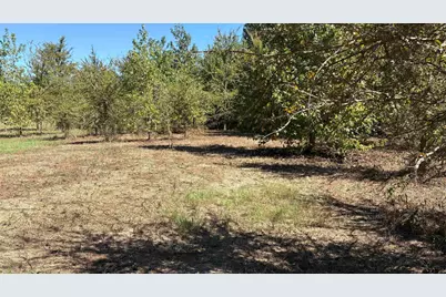 920 County Road 1226, Quitman, TX 75783 - Photo 10