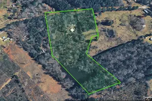 2919 County Rd 102 W, Overton, TX 75684 - Photo 28