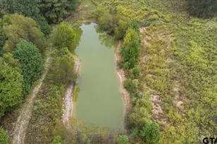 425 Co Rd 4111, Jacksonville, TX 75766 - Photo 22
