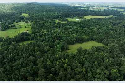 519 An County Rd 45, Palestine, TX 75803 - Photo 12