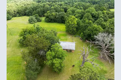 519 An County Rd 45, Palestine, TX 75803 - Photo 28