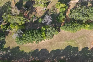 Lot 4 Willingham Rd, Whitehouse, TX 75791 - Photo 1