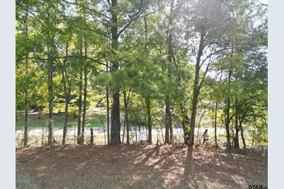 Lot 5 Willingham Rd, Whitehouse, TX 75791 - Photo 12