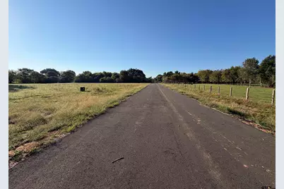 Lot 99 Oak River Estates, Frankston, TX 75763 - Photo 6