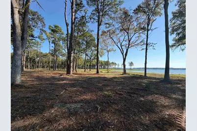 Lot 14 Oak River Estates, Frankston, TX 75763 - Photo 10