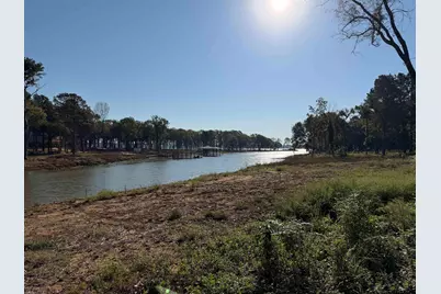 Lot 44 Oak River Estates, Frankston, TX 75763 - Photo 4