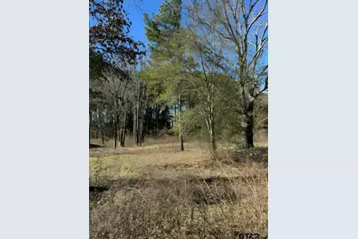 Lot 3 Berrycreek Circle, Frankston, TX 75763 - Photo 1