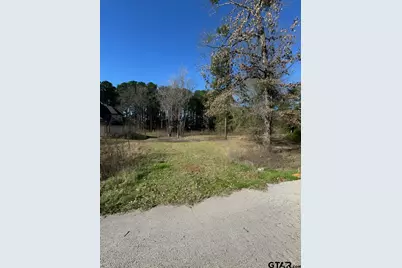 Lot 3 Berrycreek Circle, Frankston, TX 75763 - Photo 4
